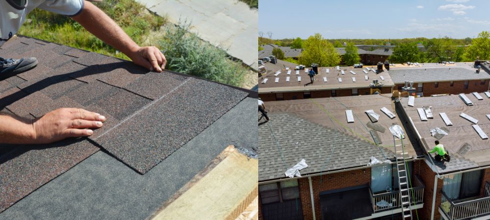 The Ultimate Guide to Shingle Roof Maintenance