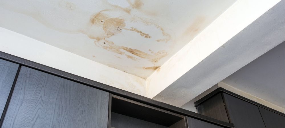 ceiling stains or water spots